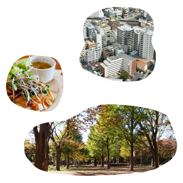 街並み、料理、木々のある公園の写真